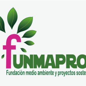 funmaproS-1