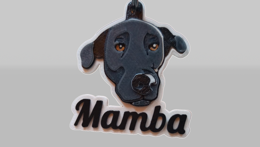 PLACAS PARA MASCOTAS